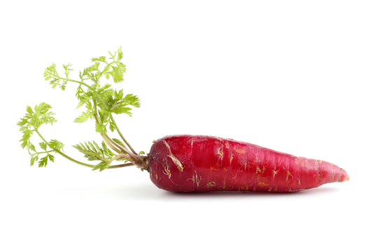 Comment semer des carottes rouges au potager ?