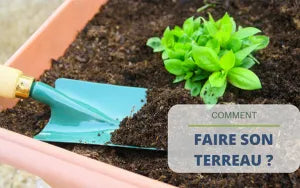 Faire du terreau de feuilles : conseils et astuces