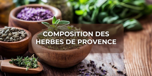 Composition des herbes de Provence
