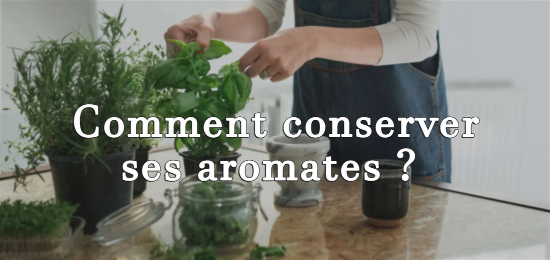 Comment conserver ses herbes aromatiques ?