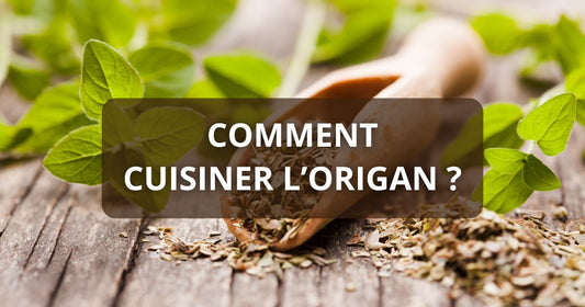 Comment cuisiner l'origan ?