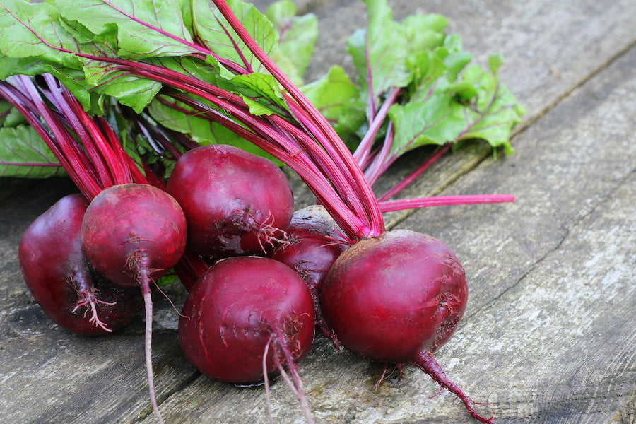 Comment faire pousser des betteraves chez soi, même sans jardin ?