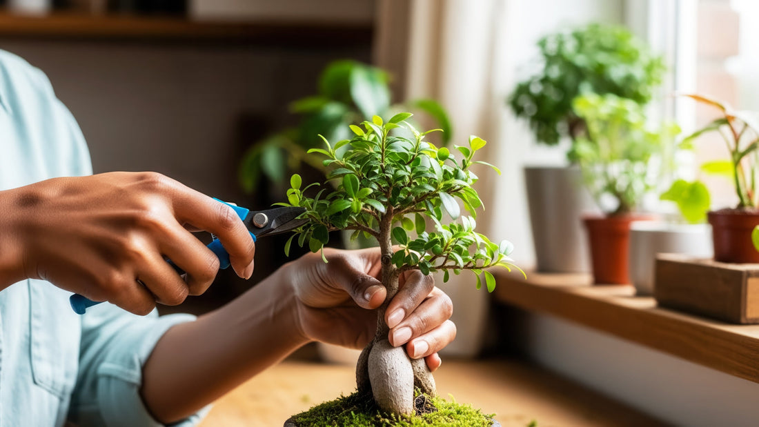 Le bonsaï est-il difficile à entretenir ?