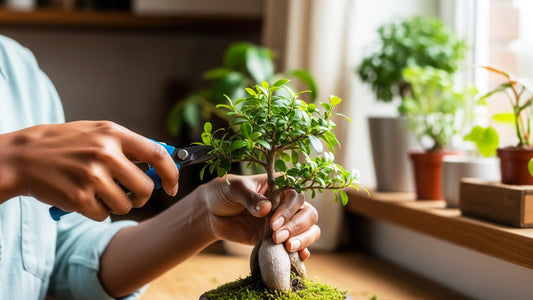 Le bonsaï est-il difficile à entretenir ?