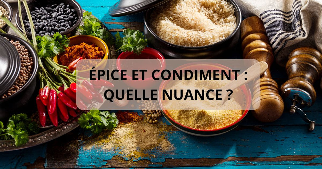 Épice et condiment : quelle nuance ?