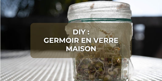 DIY : germoir en verre maison