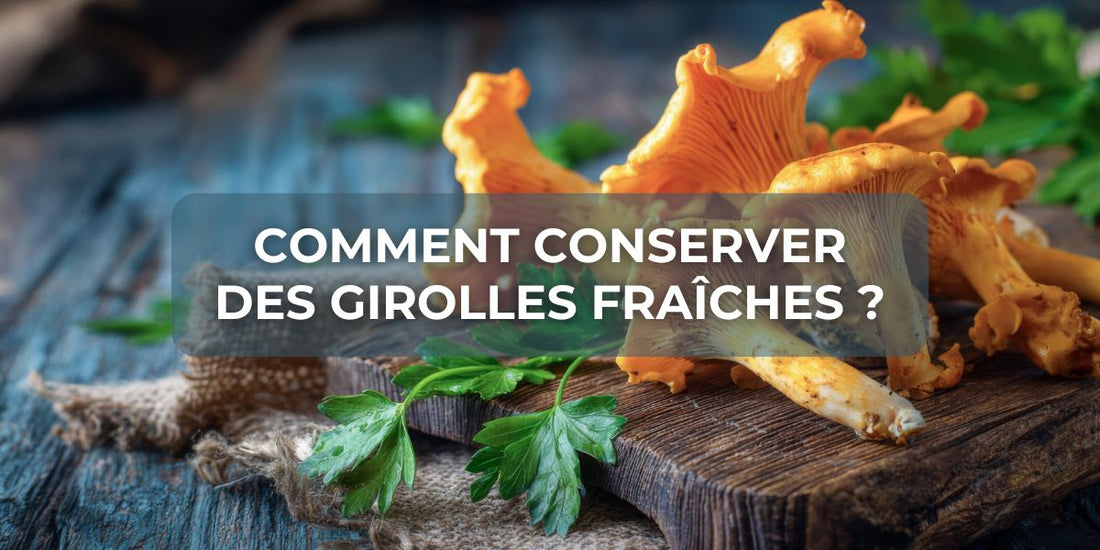 Comment conserver des girolles fraîches ?