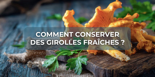 Comment conserver des girolles fraîches ?