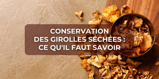 Conservation des girolles séchées : ce qu'il faut savoir