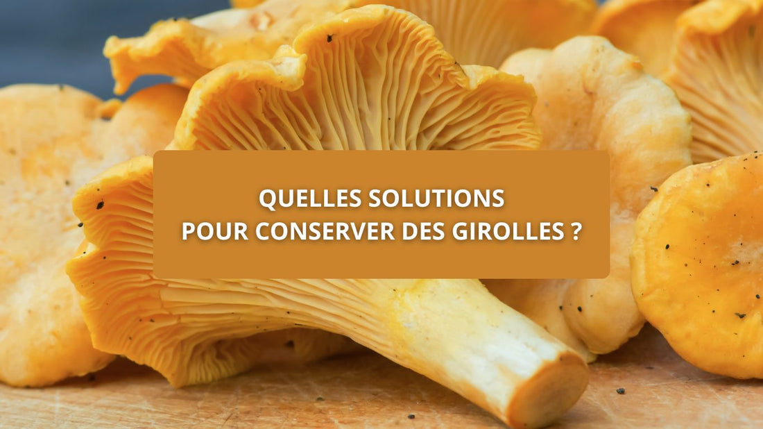 Quelles solutions pour conserver des girolles ?