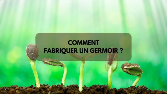 Comment fabriquer un germoir ?