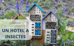 L'hôtel à insecte