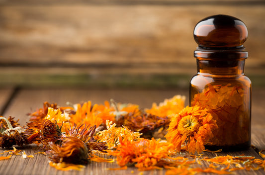 DIY : Comment faire une huile ou une pommade de calendula maison ?
