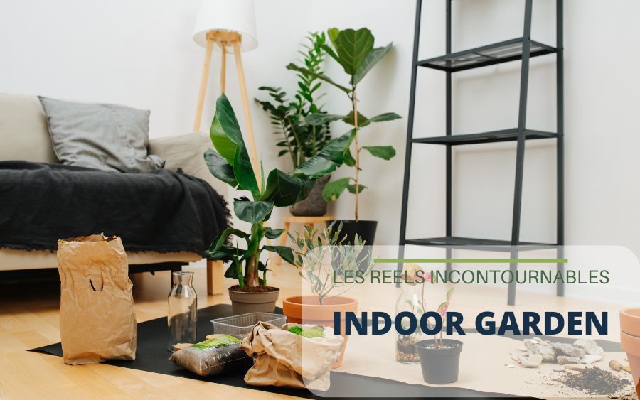 Nos kits pour indoor garden : de réels incontournables