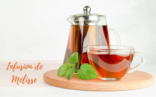 Infusion de mélisse fraiche : bienfaits, utilisation