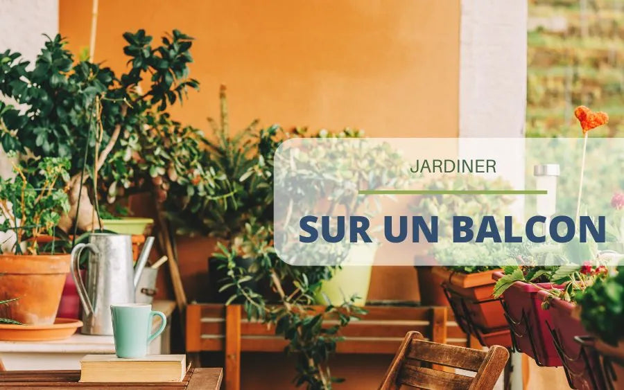 Faire son jardin sur un balcon : tous nos conseils !