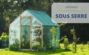 Jardiner sous serre