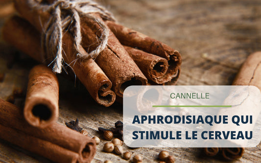 Cannelle : aphrodisiaque qui stimule le cerveau