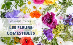 Utiliser des fleurs comestibles dans ses plats