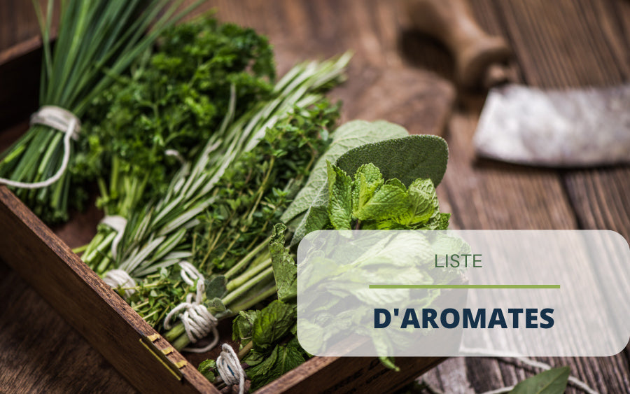 Liste des aromates et herbes aromatiques : lesquels cultiver chez soi ?