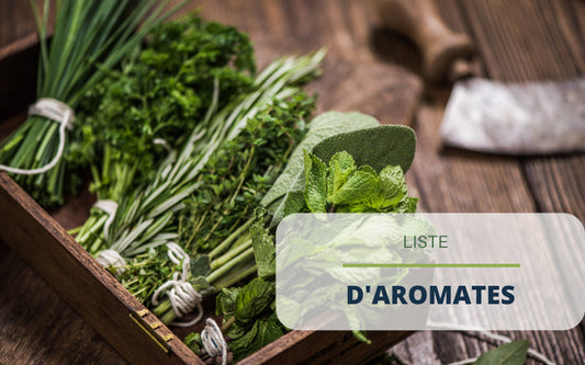 Liste des aromates et herbes aromatiques : lesquels cultiver chez soi ?