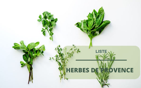 Herbes de Provence maison : nos meilleures compositions !