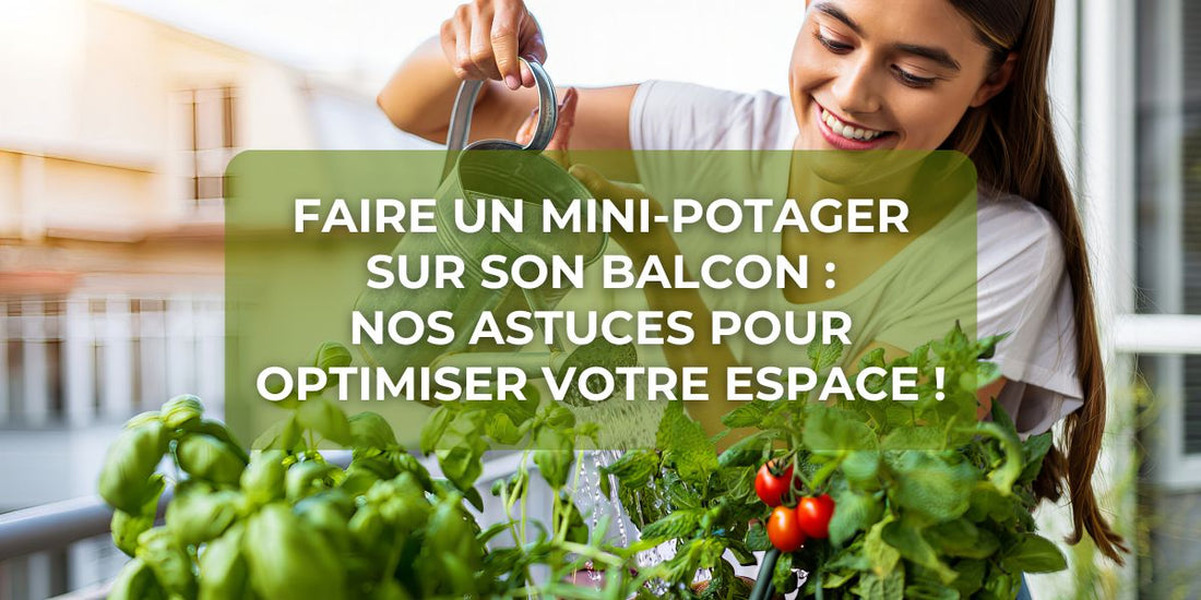 Faire un mini-potager sur son balcon : nos astuces pour optimiser votre espace !
