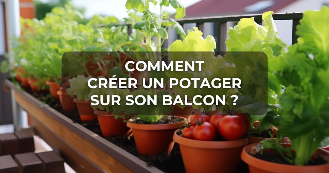 Comment créer un potager sur son balcon ?
