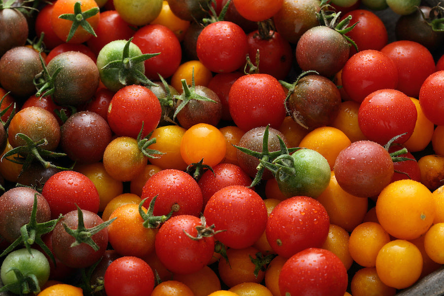 Comment faire pousser des tomates cerises facilement ?