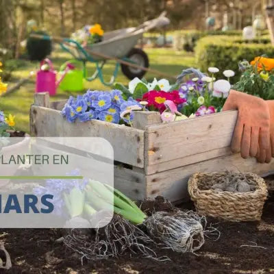 Que planter au mois de mars