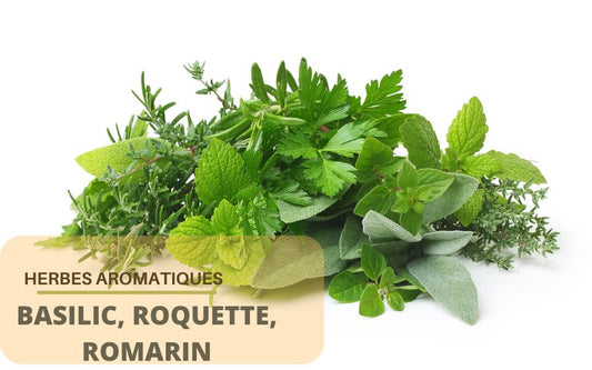 Les herbes aromatiques en pâtisserie, de plus en plus prisées