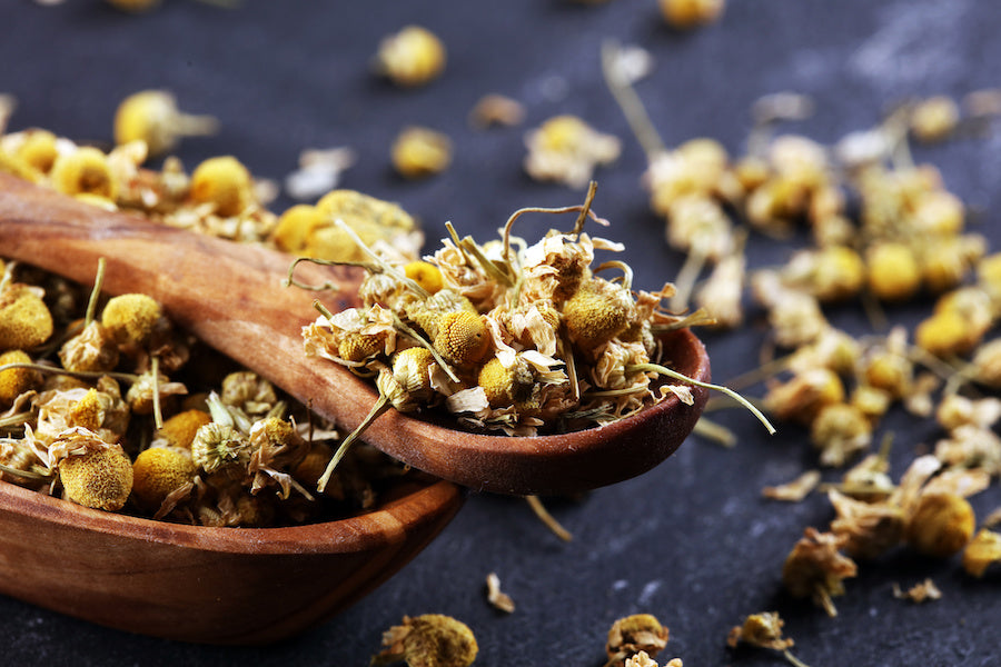 Comment sécher la camomille pour faire du thé ?