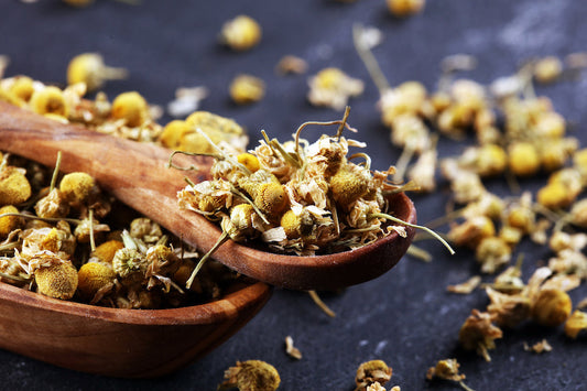 Comment sécher la camomille pour faire du thé ?
