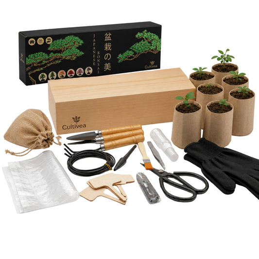 Kit Bonsaï Box Expérience