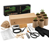 Kit Bonsai Box Experience