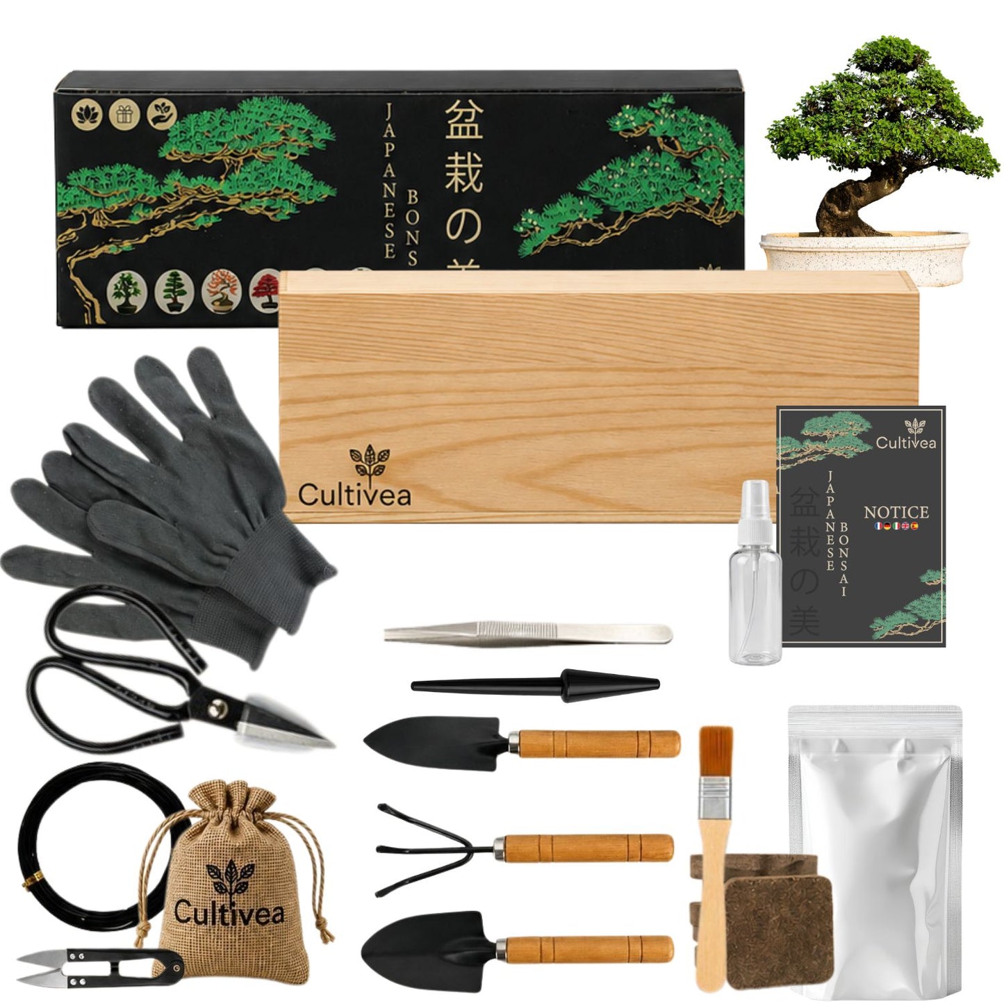 Kit Bonsai Box Experience
