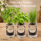 Indoor Herb Growing Kit - Basil, Parsley & Chives, Organic Seeds*