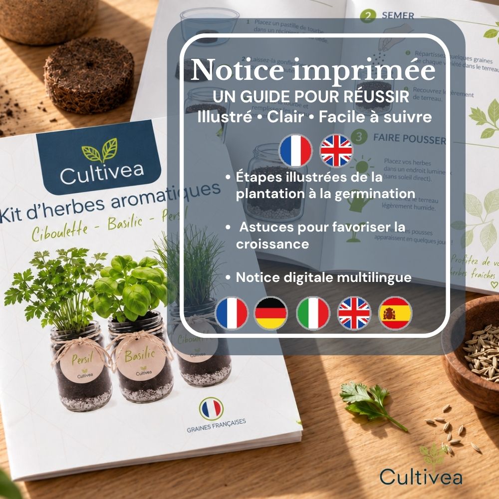 Indoor Herb Growing Kit - Basil, Parsley & Chives, Organic Seeds*