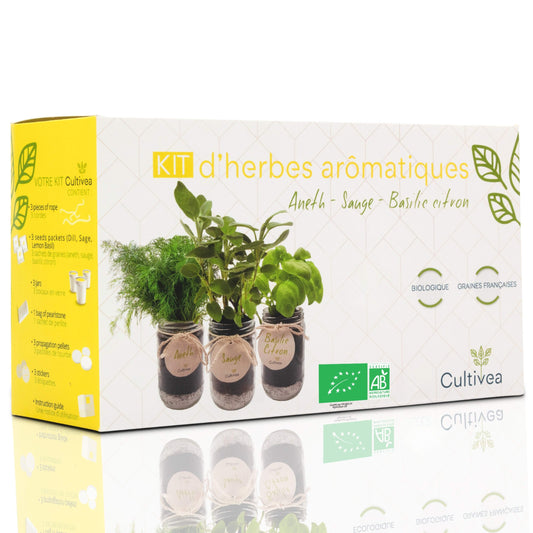 BIO-Kräuter-Set – Gelb (Dill, Salbei, Zitronenbasilikum)
