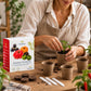 BIO Mini-Set Regenbogen-Tomaten*