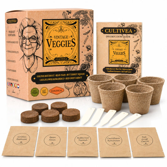 Mini Kit Légumes Vintage BIO*