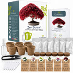 Mini Kit Zen Bonsai - 6 graines avec accessoires