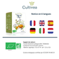 Mini Kit Sabores del Mundo – Tés del mundo