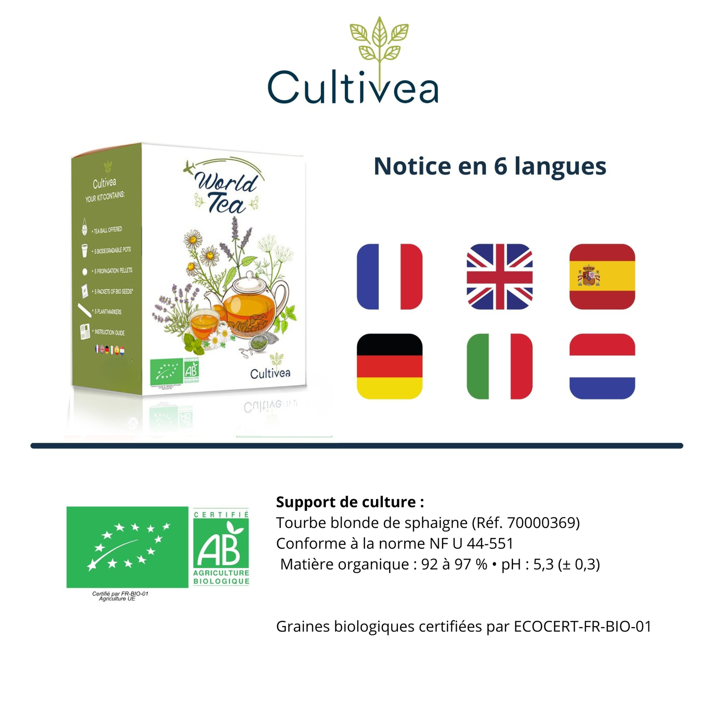 Mini Kit Sabores del Mundo – Tés del mundo