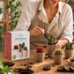 Mini Kit Wild Cactus