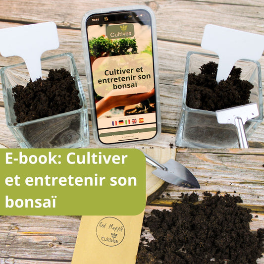 Malette 32 outils pour bonsai