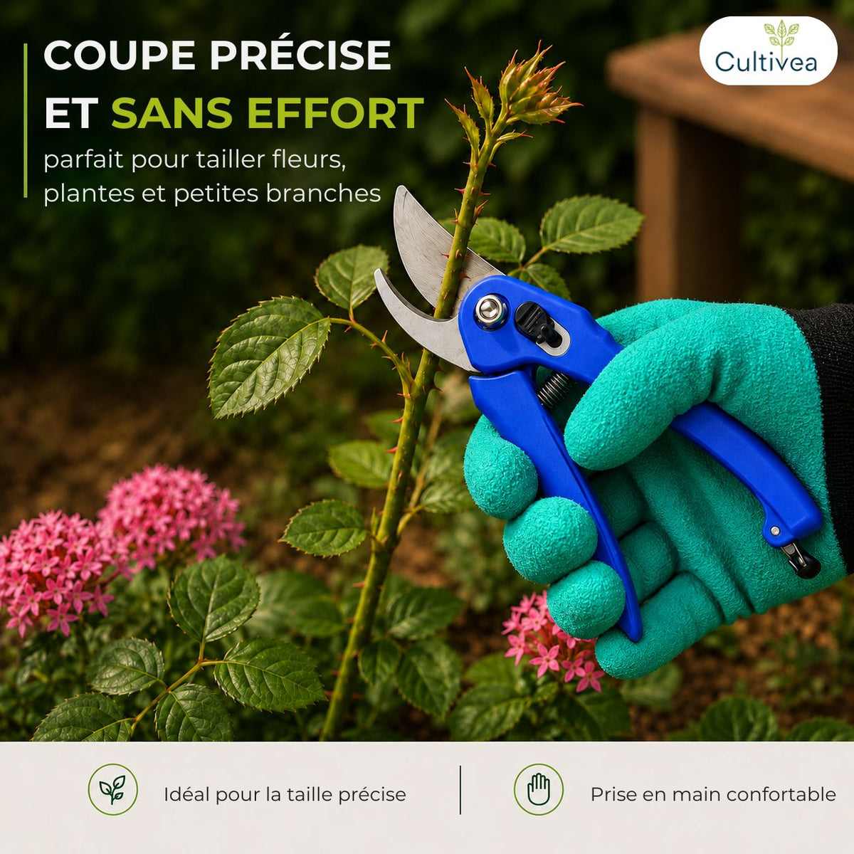 Malette 32 outils pour bonsai