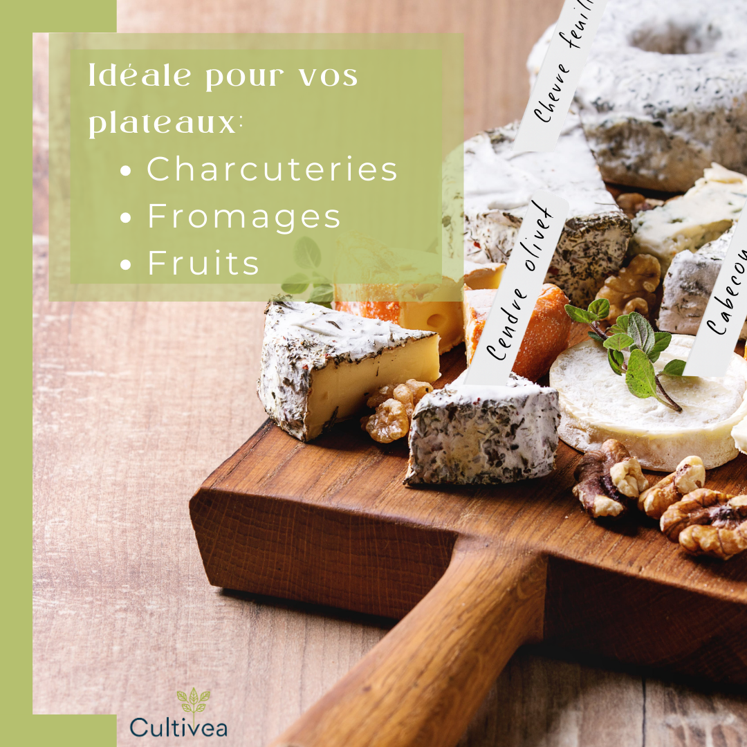 Lot de 100 Étiquettes Jardin Potager + Marqueur – Étiquettes Plantes Extérieur en Plastique Blanc 10x2cm