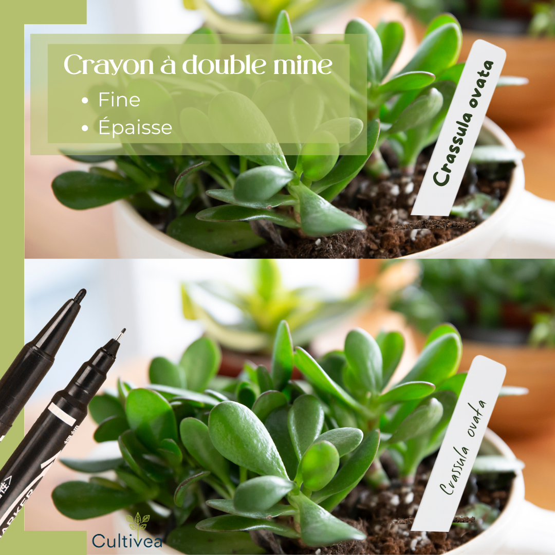 Lot de 100 Étiquettes Jardin Potager + Marqueur – Étiquettes Plantes Extérieur en Plastique Blanc 10x2cm