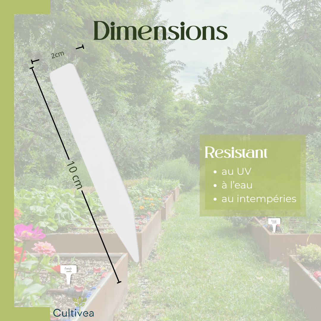 Lot de 100 Étiquettes Jardin Potager + Marqueur – Étiquettes Plantes Extérieur en Plastique Blanc 10x2cm